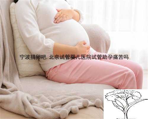 宁波捐卵吧,北京试管婴儿医院试管助孕痛苦吗
